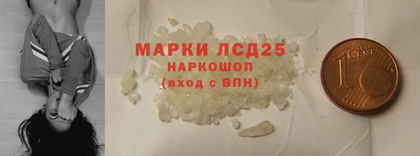 хмурый Алексин