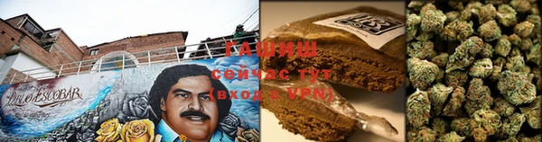 ПСИЛОЦИБИНОВЫЕ ГРИБЫ Алзамай