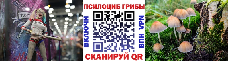 Псилоцибиновые грибы GOLDEN TEACHER  даркнет сайт  Анжеро-Судженск 