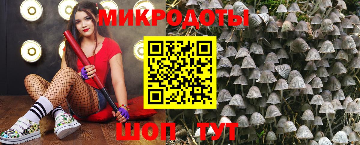 Псилоцибиновые грибы Magic Shrooms  Вход с VPN  Анжеро-Судженск 